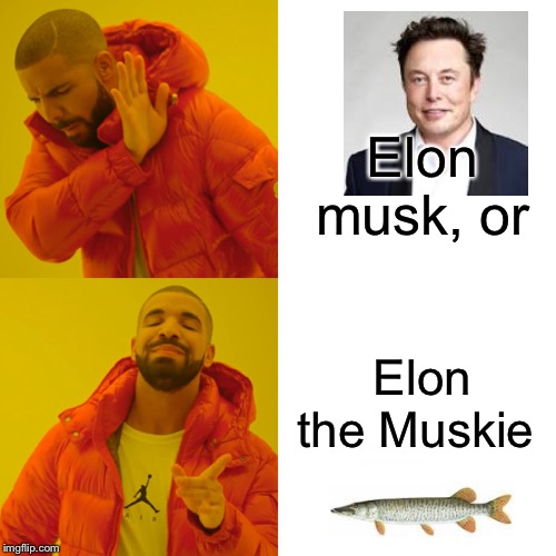 Drake Hotline Bling Meme | Elon musk, or; Elon the Muskie | image tagged in memes,drake hotline bling | made w/ Imgflip meme maker