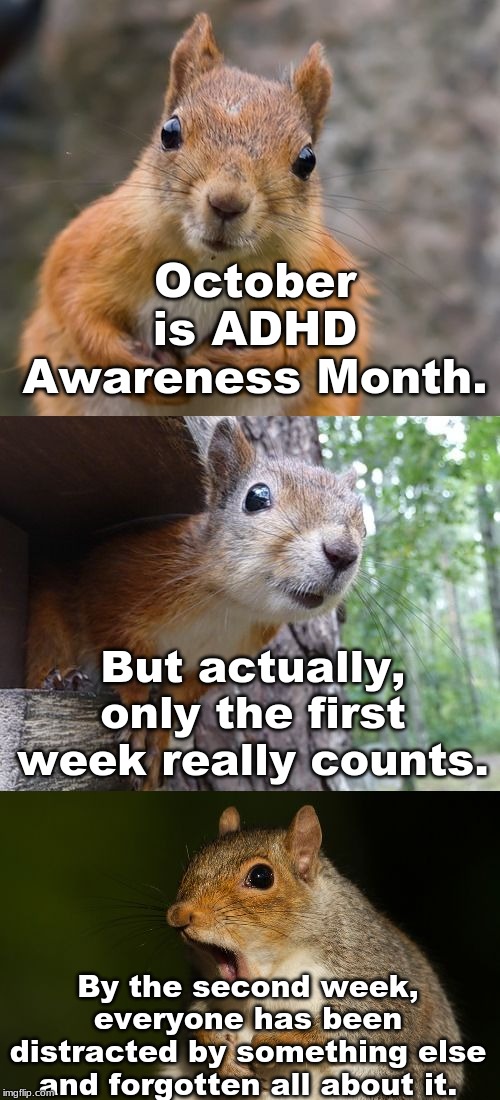  bad pun squirrel |  October is ADHD Awareness Month. But actually, only the first week really counts. By the second week, everyone has been distracted by something else and forgotten all about it. | image tagged in bad pun squirrel | made w/ Imgflip meme maker