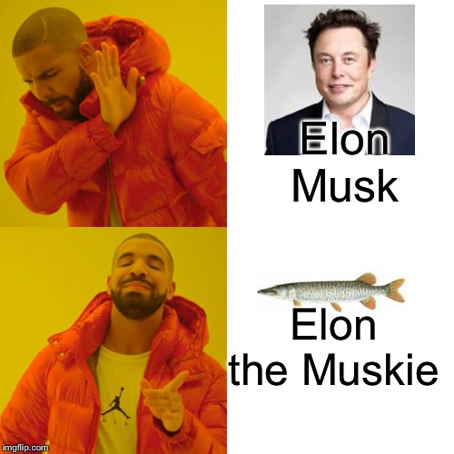 Drake Hotline Bling Meme | Elon Musk; Elon the Muskie | image tagged in memes,drake hotline bling | made w/ Imgflip meme maker