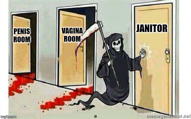 Grim Reaper Knocking Door | P**IS ROOM VA**NA ROOM JANITOR | image tagged in grim reaper knocking door | made w/ Imgflip meme maker