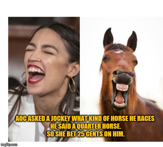 Ocasio cortez | AOC ASKED A JOCKEY WHAT KIND OF HORSE HE RACES 
HE SAID A QUARTER HORSE.
SO SHE BET 25 CENTS ON HIM. | image tagged in ocasio cortez | made w/ Imgflip meme maker