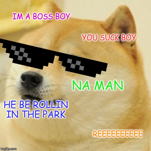 Doge Meme | IM A BOSS BOY; YOU SUCK BOY; NA MAN; HE BE ROLLIN IN THE PARK; REEEEEEEEEE | image tagged in memes,doge | made w/ Imgflip meme maker