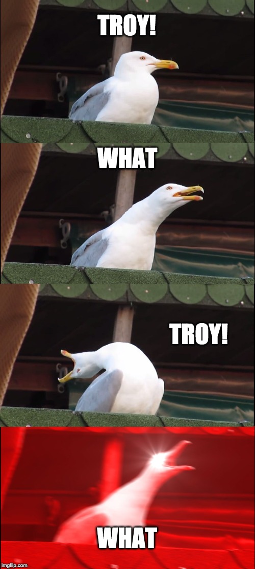 Inhaling Seagull Meme | TROY! WHAT; TROY! WHAT | image tagged in memes,inhaling seagull | made w/ Imgflip meme maker