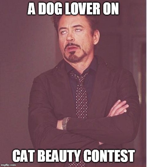 Face You Make Robert Downey Jr Meme | A DOG LOVER ON; CAT BEAUTY CONTEST | image tagged in memes,face you make robert downey jr | made w/ Imgflip meme maker