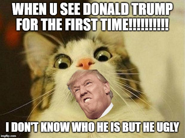 Scared Cat Meme | WHEN U SEE DONALD TRUMP FOR THE FIRST TIME!!!!!!!!!! I DON'T KNOW WHO HE IS BUT HE UGLY | image tagged in memes,scared cat | made w/ Imgflip meme maker