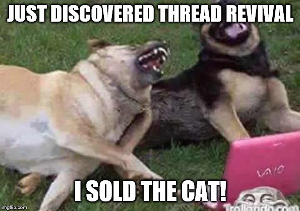 Dogs Laughing | JUST DISCOVERED THREAD REVIVAL; I SOLD THE CAT! | image tagged in dogs laughing | made w/ Imgflip meme maker