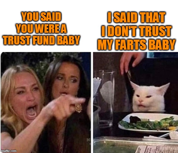 Lady screams at cat | I SAID THAT I DON'T TRUST MY FARTS BABY; YOU SAID YOU WERE A TRUST FUND BABY | image tagged in lady screams at cat | made w/ Imgflip meme maker