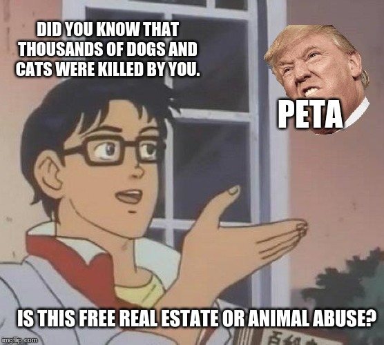 Is This A Pigeon Meme | DID YOU KNOW THAT THOUSANDS OF DOGS AND CATS WERE KILLED BY YOU. PETA; IS THIS FREE REAL ESTATE OR ANIMAL ABUSE? | image tagged in memes,is this a pigeon | made w/ Imgflip meme maker