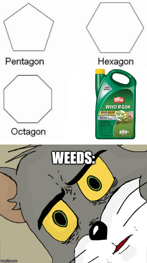 WEEDS: | image tagged in memes,pentagon hexagon octagon,unsettled tom | made w/ Imgflip meme maker