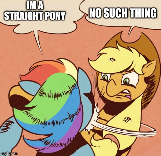 Apple Jack slapping Rainbow Dash | IM A STRAIGHT PONY; NO SUCH THING | image tagged in apple jack slapping rainbow dash | made w/ Imgflip meme maker