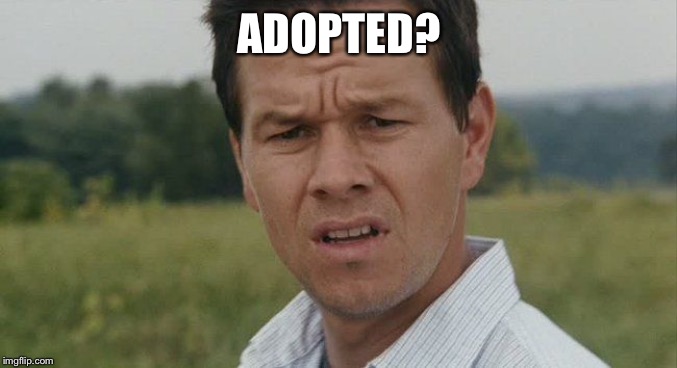 Mark Wahlburg confused | ADOPTED? | image tagged in mark wahlburg confused | made w/ Imgflip meme maker