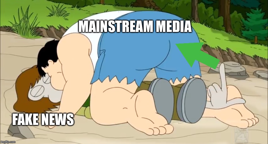 Upvote | FAKE NEWS MAINSTREAM MEDIA | image tagged in upvote | made w/ Imgflip meme maker