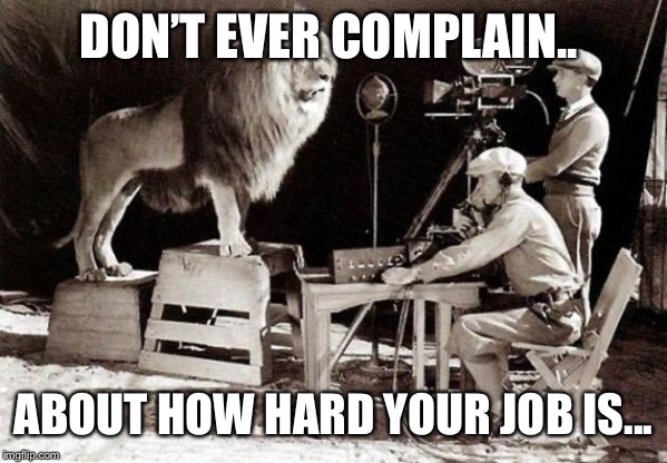 DON’T EVER COMPLAIN.. ABOUT HOW HARD YOUR JOB IS... | image tagged in funny | made w/ Imgflip meme maker