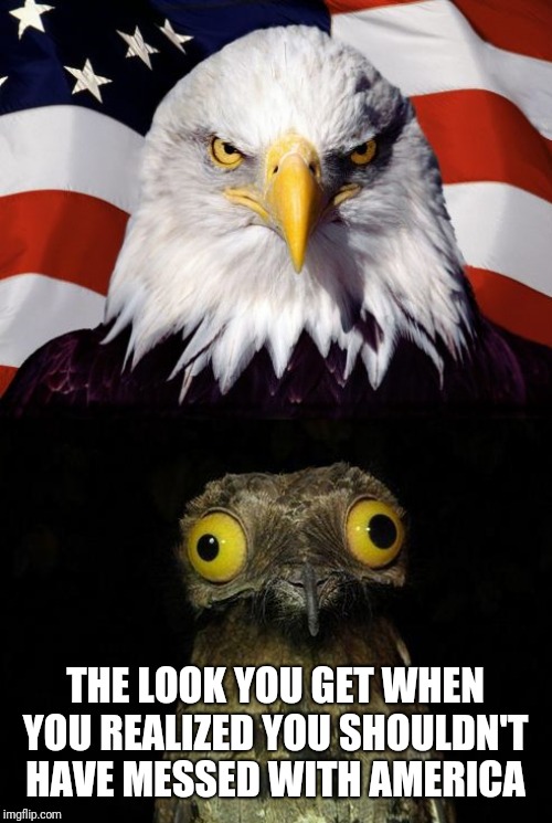 Mental/Physical Birds | THE LOOK YOU GET WHEN YOU REALIZED YOU SHOULDN'T HAVE MESSED WITH AMERICA | image tagged in mental/physical birds | made w/ Imgflip meme maker