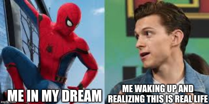 ME WAKING UP AND REALIZING THIS IS REAL LIFE; ME IN MY DREAM | image tagged in spiderman | made w/ Imgflip meme maker