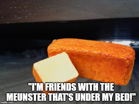 Some Cheesey Rihanna | "I'M FRIENDS WITH THE MEUNSTER THAT'S UNDER MY BED!" | image tagged in parody | made w/ Imgflip meme maker