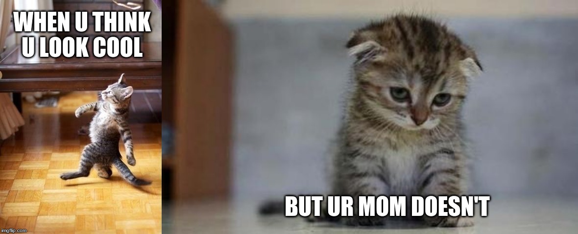  WHEN U THINK U LOOK COOL; BUT UR MOM DOESN'T | image tagged in memes,cool cat stroll,sad kitten | made w/ Imgflip meme maker