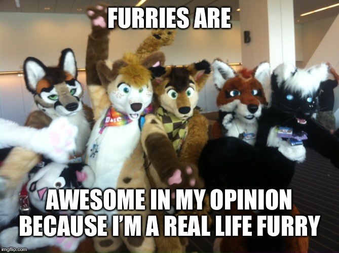 Furries | FURRIES ARE; AWESOME IN MY OPINION BECAUSE I’M A REAL LIFE FURRY | image tagged in furries | made w/ Imgflip meme maker