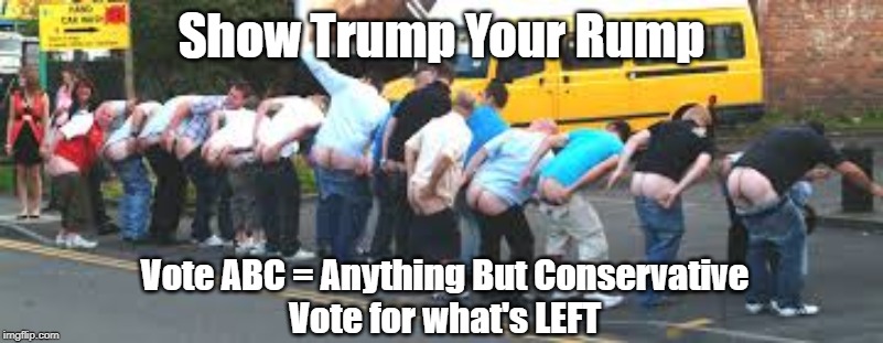 Show Trump Your Rump | Show Trump Your Rump; Vote ABC = Anything But Conservative
Vote for what's LEFT | image tagged in trump,rump,trump is insane,potus,election 2020 | made w/ Imgflip meme maker