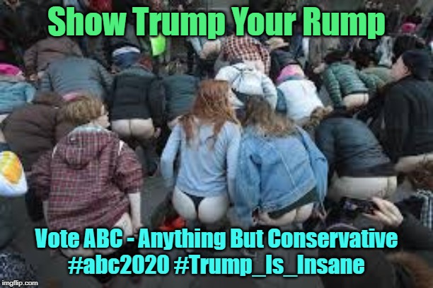 Show Trump Your Rump | Show Trump Your Rump; Vote ABC - Anything But Conservative
#abc2020 #Trump_Is_Insane | image tagged in show trump your rump,trump,rump | made w/ Imgflip meme maker