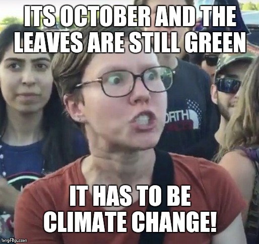 I'VE ALREADY HEARD THIS AT WORK. I'M WEARING ONE OF MY TRUMP SHIRTS TOMORRW. | ITS OCTOBER AND THE LEAVES ARE STILL GREEN; IT HAS TO BE CLIMATE CHANGE! | image tagged in triggered feminist,climate change | made w/ Imgflip meme maker
