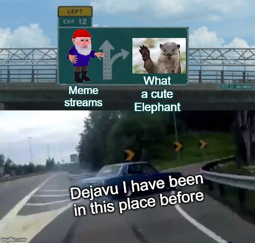 Left Exit 12 Off Ramp Meme | What a cute Elephant; Meme streams; Dejavu I have been in this place before | image tagged in memes,left exit 12 off ramp | made w/ Imgflip meme maker