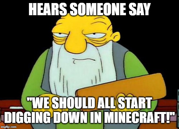 That's a paddlin' | HEARS SOMEONE SAY; "WE SHOULD ALL START DIGGING DOWN IN MINECRAFT!" | image tagged in memes,that's a paddlin' | made w/ Imgflip meme maker