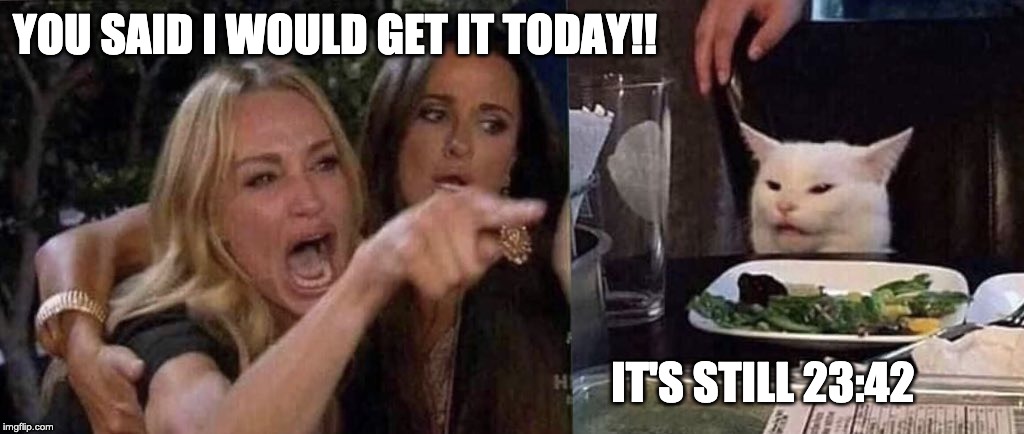 woman yelling at cat | YOU SAID I WOULD GET IT TODAY!! IT'S STILL 23:42 | image tagged in woman yelling at cat | made w/ Imgflip meme maker