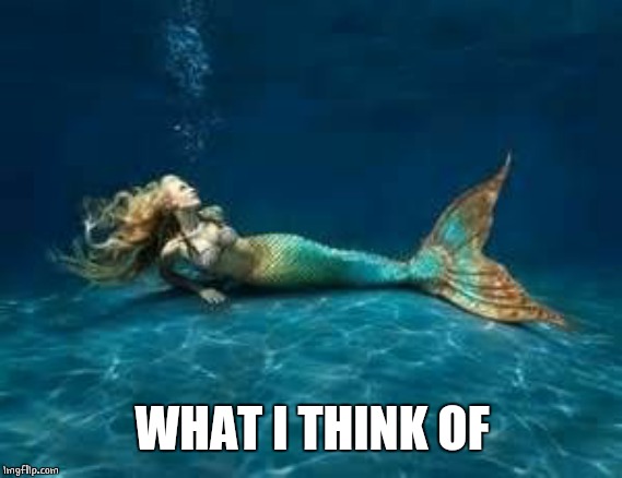 Mermaid  | WHAT I THINK OF | image tagged in mermaid | made w/ Imgflip meme maker