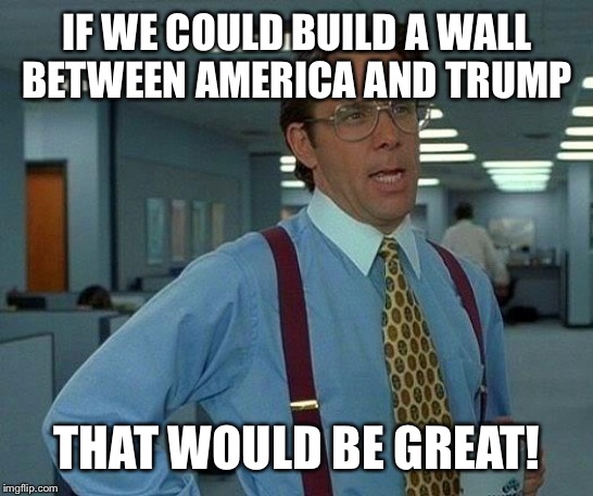 That Would Be Great | IF WE COULD BUILD A WALL BETWEEN AMERICA AND TRUMP; THAT WOULD BE GREAT! | image tagged in memes,that would be great | made w/ Imgflip meme maker