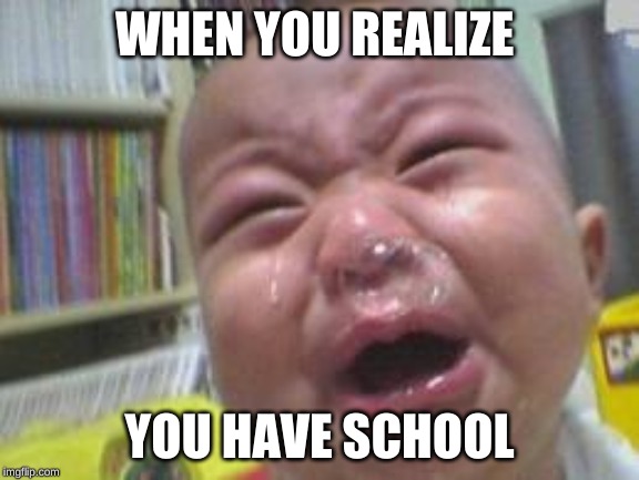 Funny crying baby! |  WHEN YOU REALIZE; YOU HAVE SCHOOL | image tagged in funny crying baby | made w/ Imgflip meme maker