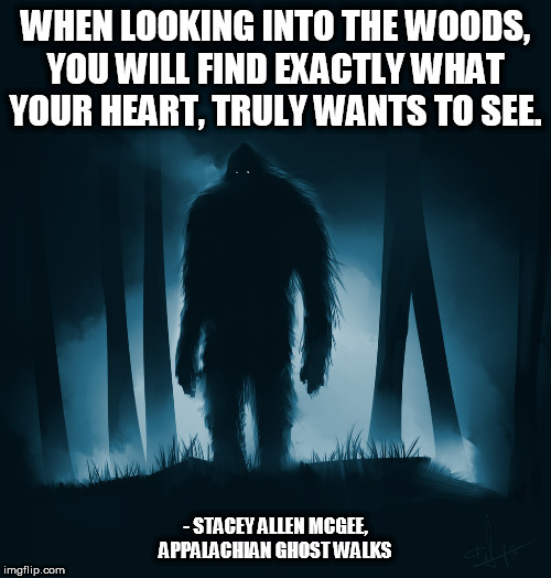 Appalachian Ghost Walks | WHEN LOOKING INTO THE WOODS, YOU WILL FIND EXACTLY WHAT YOUR HEART, TRULY WANTS TO SEE. - STACEY ALLEN MCGEE, APPALACHIAN GHOST WALKS | image tagged in appalachian ghost walks | made w/ Imgflip meme maker