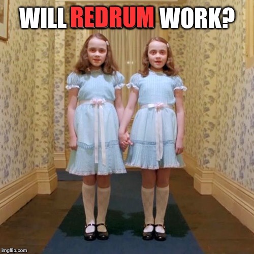 Twins from The Shining | WILL REDRUM WORK? REDRUM | image tagged in twins from the shining | made w/ Imgflip meme maker