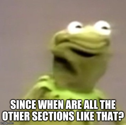 Kermit Weird Face | SINCE WHEN ARE ALL THE OTHER SECTIONS LIKE THAT? | image tagged in kermit weird face | made w/ Imgflip meme maker