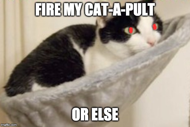 Messed Up Cat Pun | FIRE MY CAT-A-PULT; OR ELSE | image tagged in pun,cat,catapult,glare,killing | made w/ Imgflip meme maker