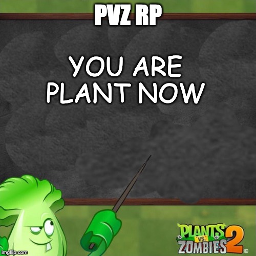 Bonk Choy says | PVZ RP; YOU ARE PLANT NOW | image tagged in bonk choy says | made w/ Imgflip meme maker