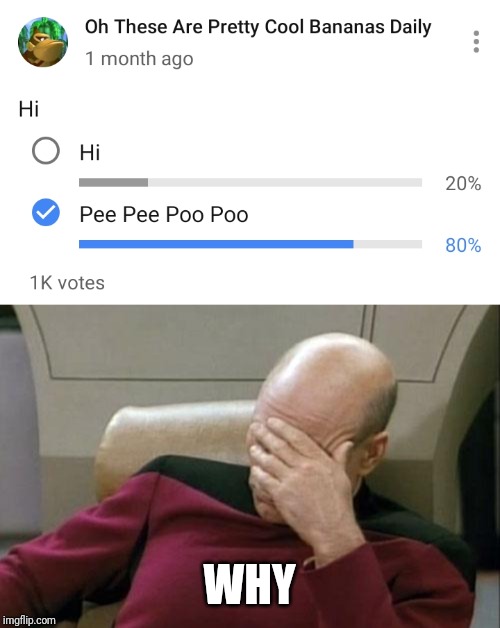 I... just... why | WHY | image tagged in memes,captain picard facepalm | made w/ Imgflip meme maker