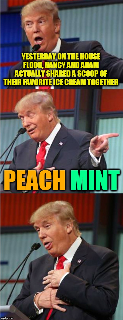 Bad Pun Trump | YESTERDAY ON THE HOUSE FLOOR, NANCY AND ADAM ACTUALLY SHARED A SCOOP OF THEIR FAVORITE ICE CREAM TOGETHER; MINT; PEACH MINT | image tagged in bad pun trump | made w/ Imgflip meme maker