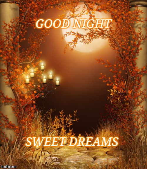 Good night Autumn | GOOD NIGHT; SWEET DREAMS | image tagged in good night autumn | made w/ Imgflip meme maker