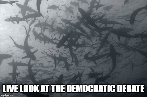 Feasting on Each Other | LIVE LOOK AT THE DEMOCRATIC DEBATE | image tagged in democrat debate | made w/ Imgflip meme maker