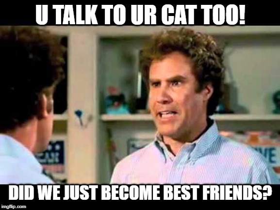 Did We Just Become Best Friends Mustang | U TALK TO UR CAT TOO! DID WE JUST BECOME BEST FRIENDS? | image tagged in did we just become best friends mustang | made w/ Imgflip meme maker
