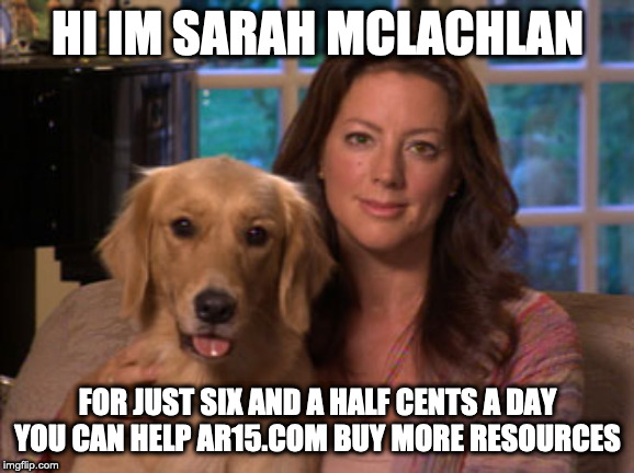 Sarah McLachlan | HI IM SARAH MCLACHLAN; FOR JUST SIX AND A HALF CENTS A DAY YOU CAN HELP AR15.COM BUY MORE RESOURCES | image tagged in sarah mclachlan | made w/ Imgflip meme maker