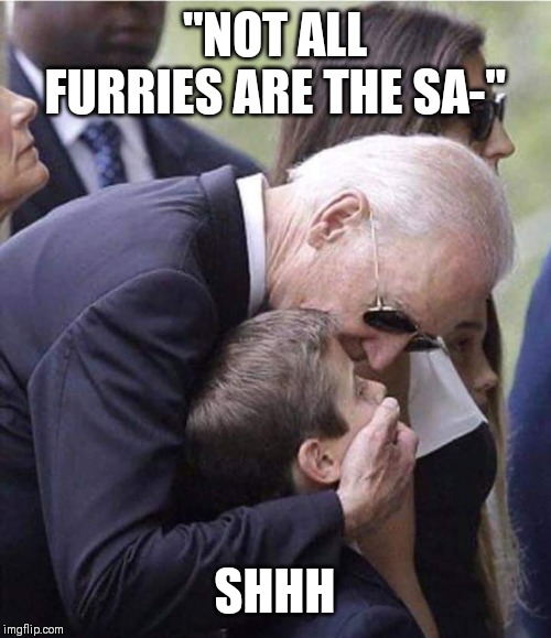 Biden Kid Meme | "NOT ALL FURRIES ARE THE SA-"; SHHH | image tagged in biden kid meme | made w/ Imgflip meme maker