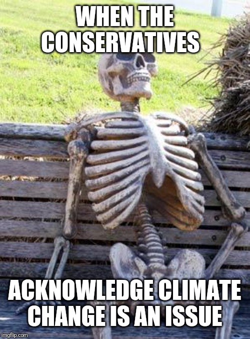 Waiting Skeleton | WHEN THE CONSERVATIVES; ACKNOWLEDGE CLIMATE CHANGE IS AN ISSUE | image tagged in memes,waiting skeleton | made w/ Imgflip meme maker