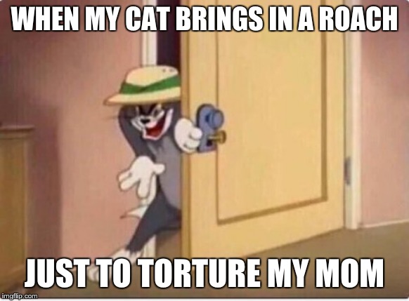 TOM SNEAKING IN A ROOM | WHEN MY CAT BRINGS IN A ROACH; JUST TO TORTURE MY MOM | image tagged in tom sneaking in a room | made w/ Imgflip meme maker