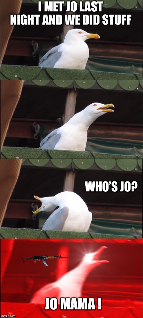 Inhaling Seagull Meme | I MET JO LAST NIGHT AND WE DID STUFF; WHO’S JO? JO MAMA ! | image tagged in memes,inhaling seagull | made w/ Imgflip meme maker