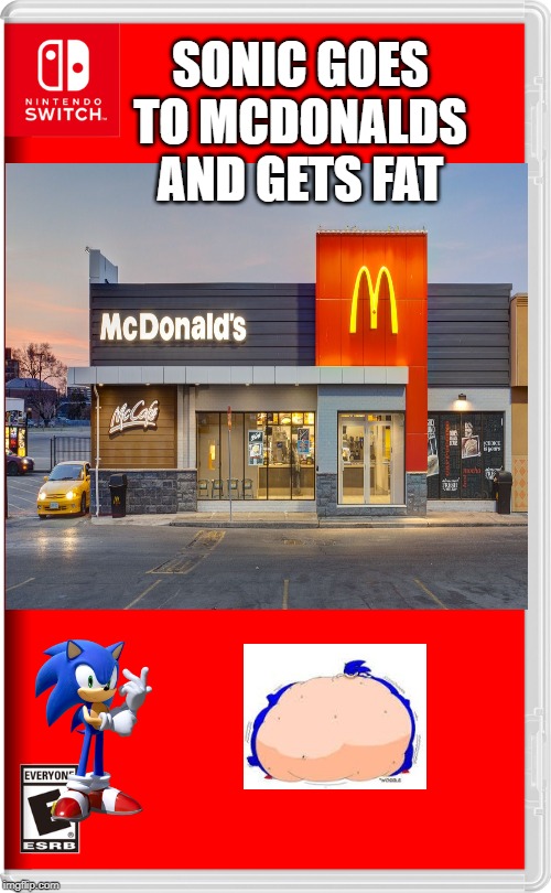 Nintendo Switch | SONIC GOES TO MCDONALDS AND GETS FAT | image tagged in nintendo switch | made w/ Imgflip meme maker
