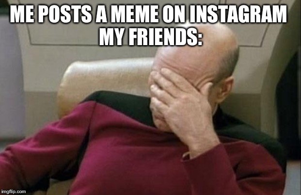 Captain Picard Facepalm Meme | ME POSTS A MEME ON INSTAGRAM 
MY FRIENDS: | image tagged in memes,captain picard facepalm | made w/ Imgflip meme maker