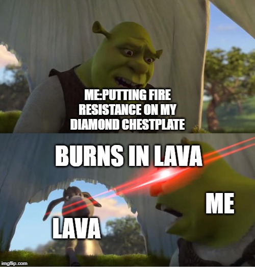 Shrek For Five Minutes | ME:PUTTING FIRE RESISTANCE ON MY DIAMOND CHESTPLATE; BURNS IN LAVA; ME; LAVA | image tagged in shrek for five minutes | made w/ Imgflip meme maker