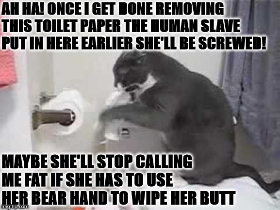 AH HA | AH HA! ONCE I GET DONE REMOVING THIS TOILET PAPER THE HUMAN SLAVE PUT IN HERE EARLIER SHE'LL BE SCREWED! MAYBE SHE'LL STOP CALLING ME FAT IF SHE HAS TO USE HER BEAR HAND TO WIPE HER BUTT | image tagged in ah ha | made w/ Imgflip meme maker